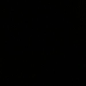 Meet your Posher, Tash